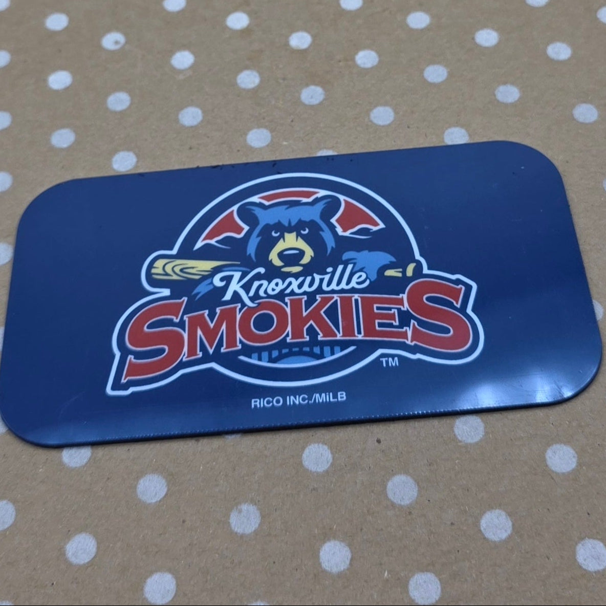 Knoxville Smokies Magnet