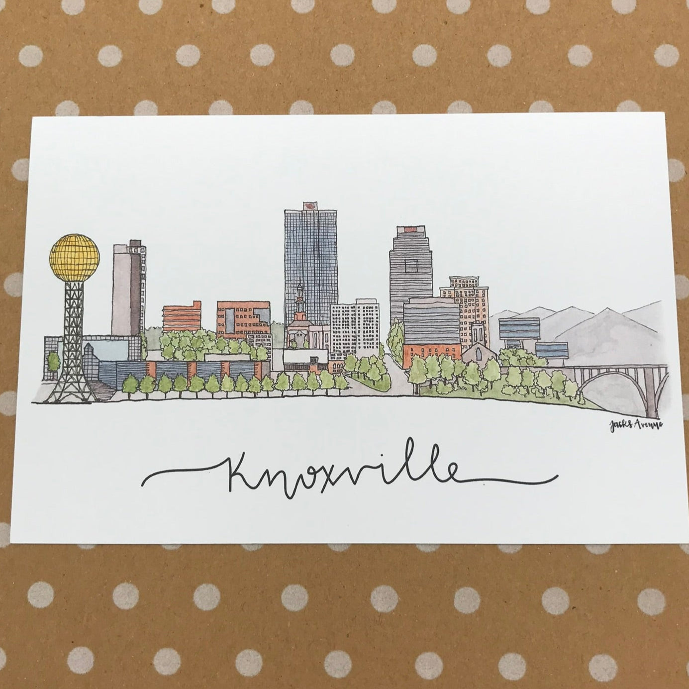 Jack's Avenue Skyline Postcard