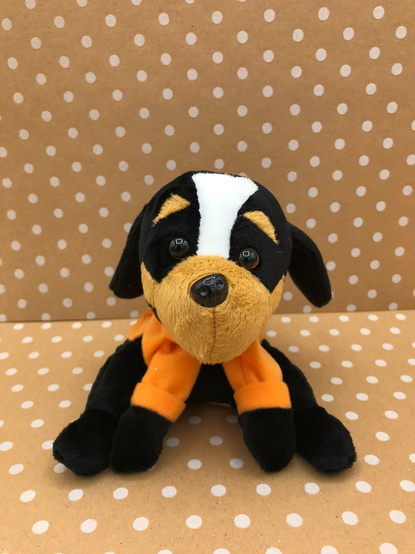 Tennessee Smokey Dog