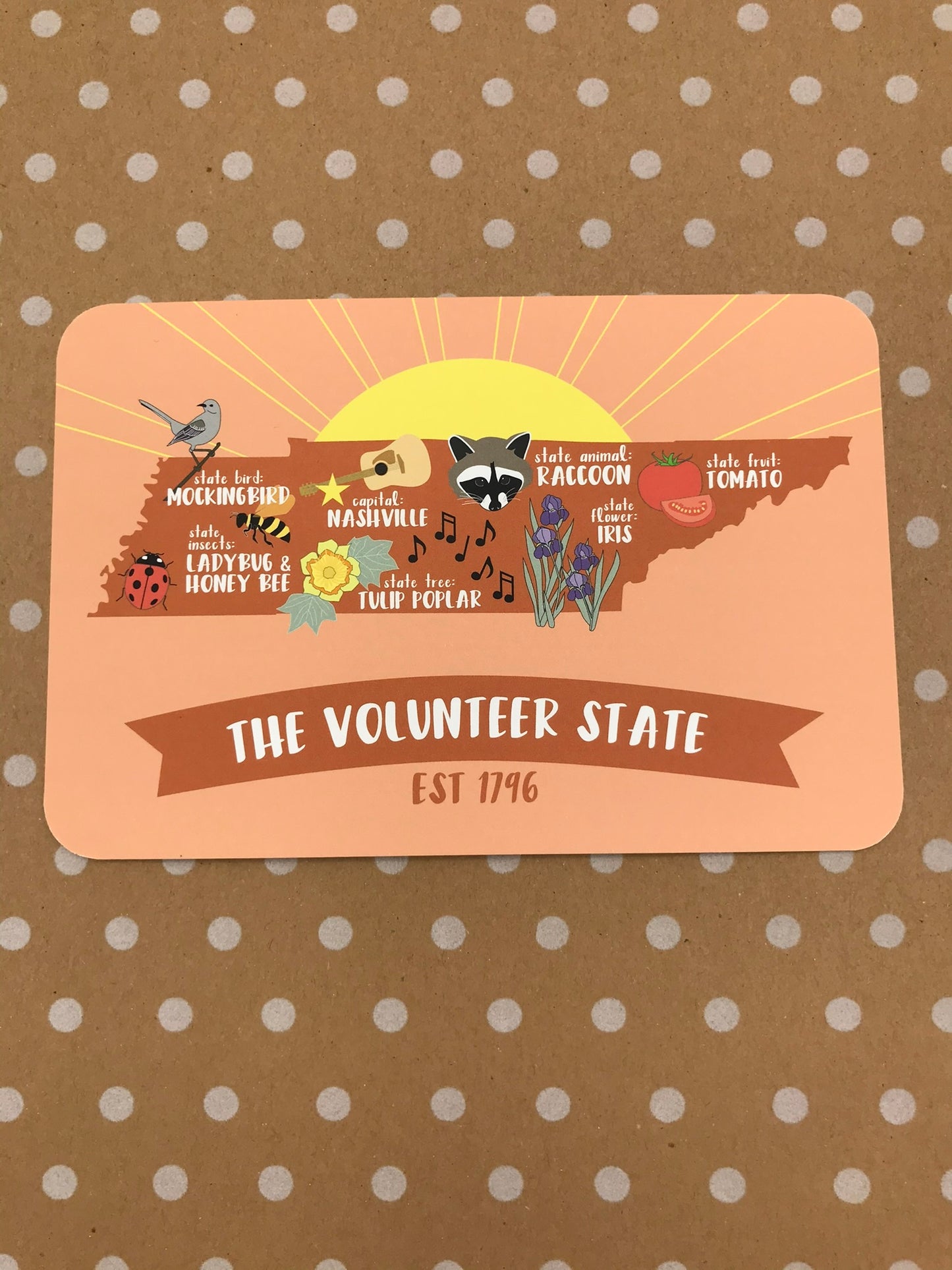 Post Card- Meghan McCrary