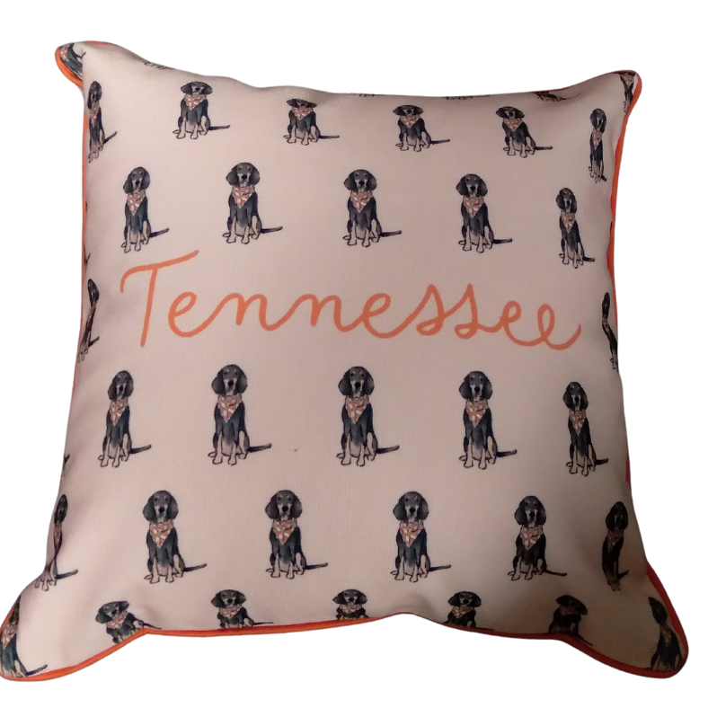 Tennessee Pillows