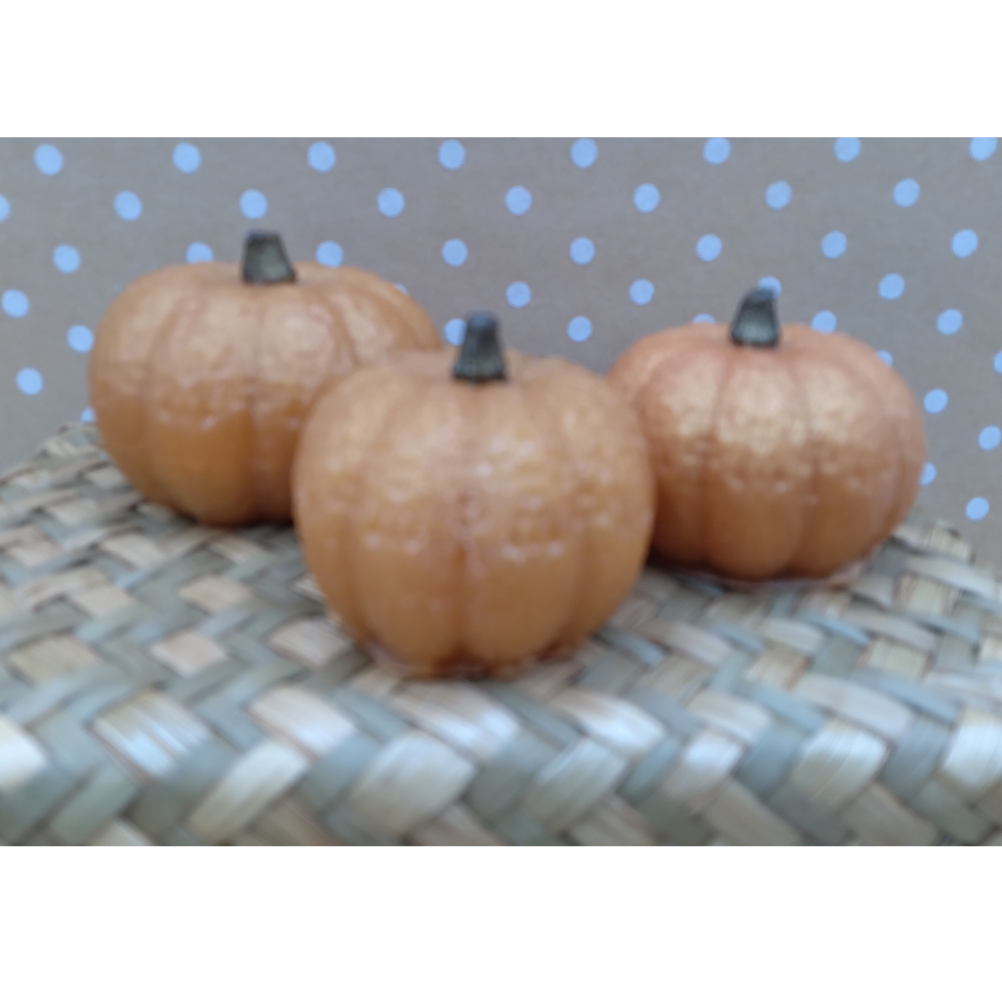 Pumpkin Soap Set