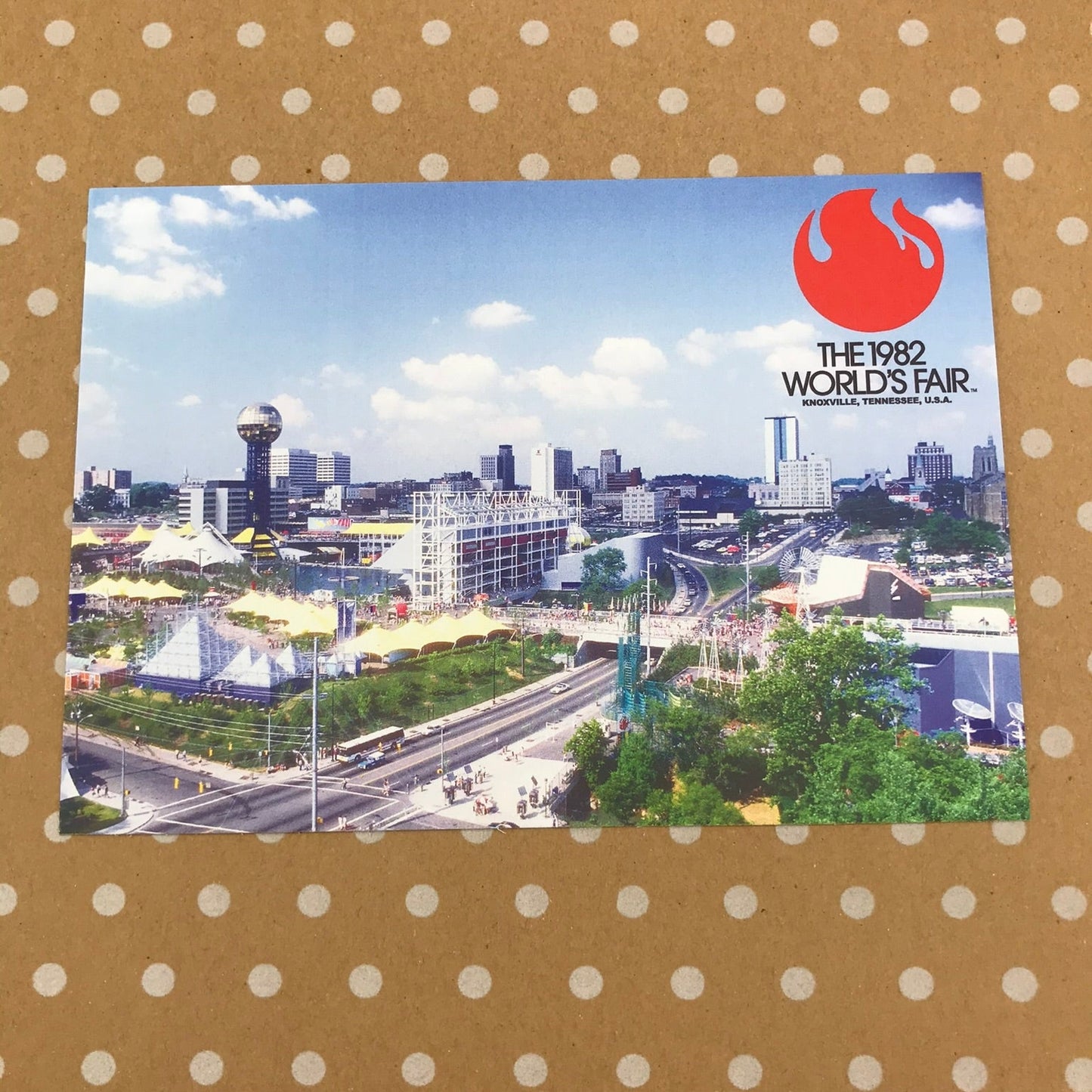 Vintage World's Fair Postcard