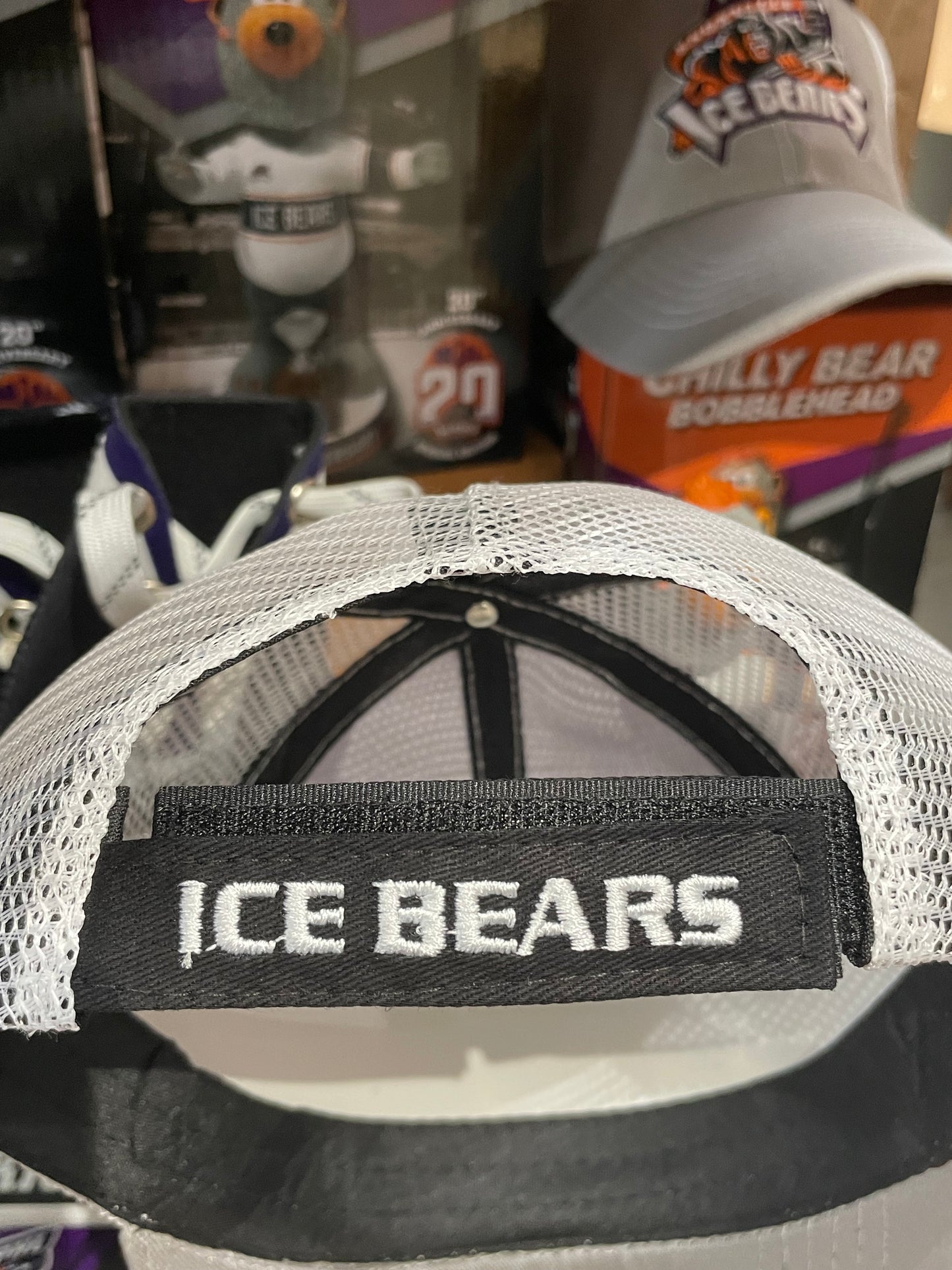 Ice Bears Hat