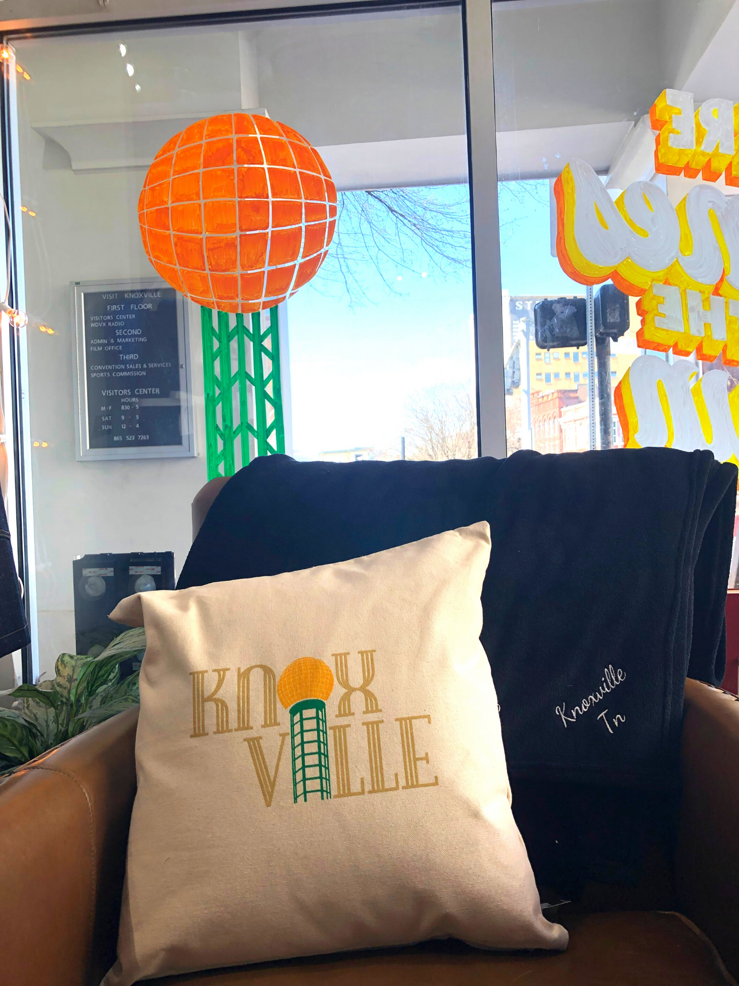 Canvas Pillows