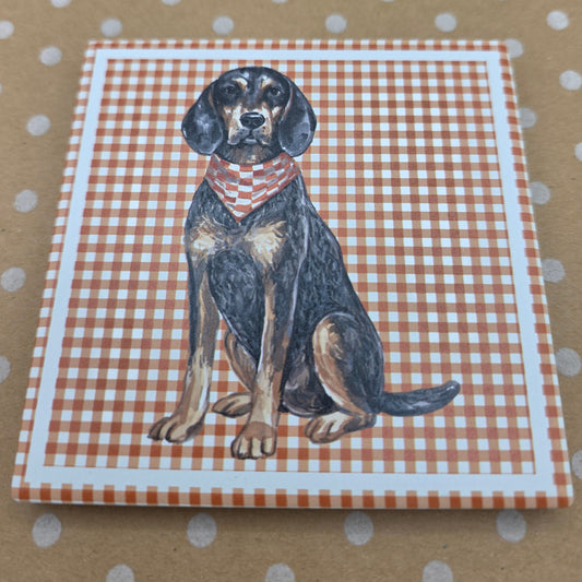 TN Ceramic Coaster