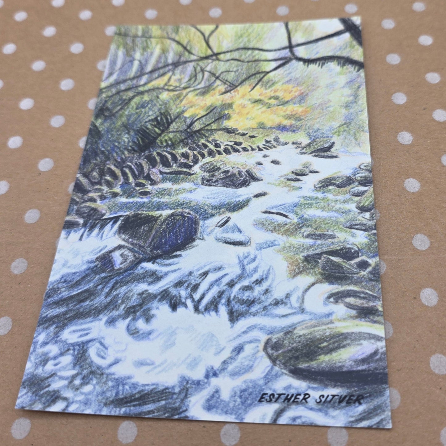 Esther Sitver Postcard