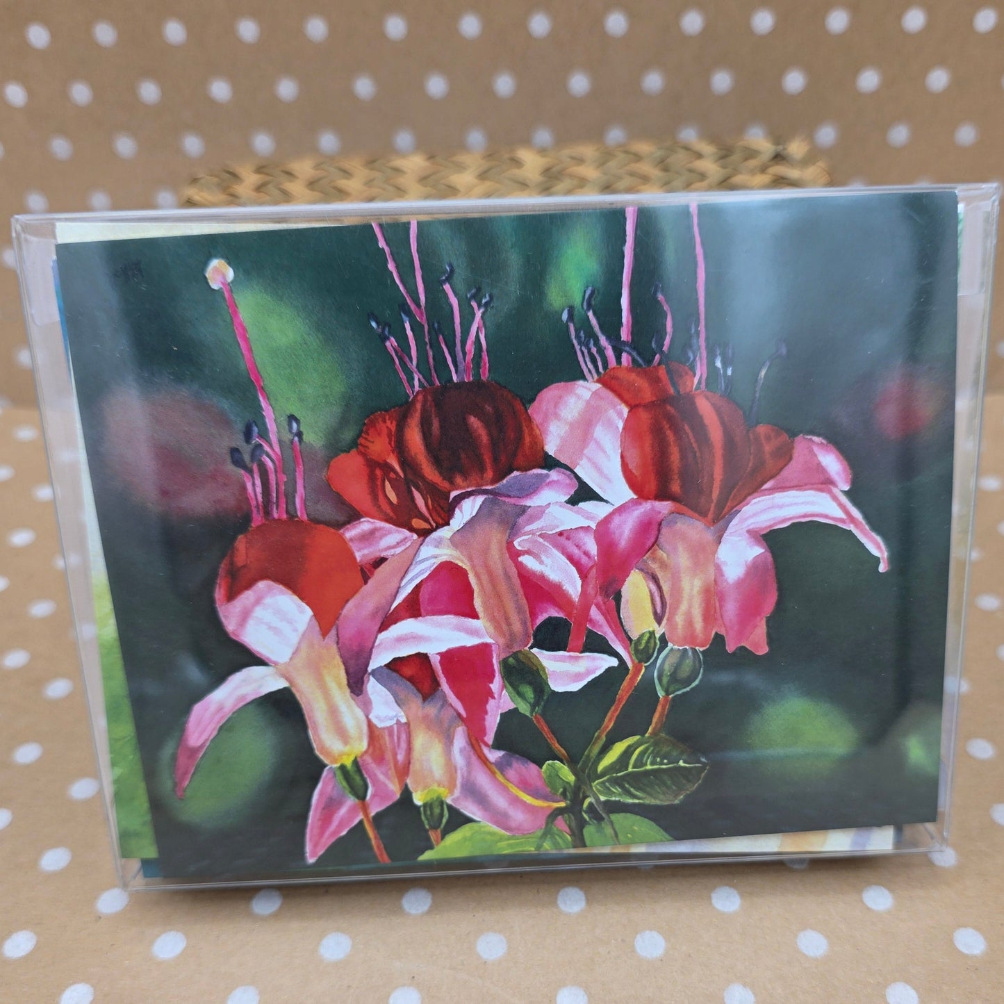 Debby Hall Watercolor Note Card Set