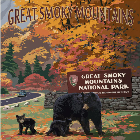 Great Smoky Mountains Coaster