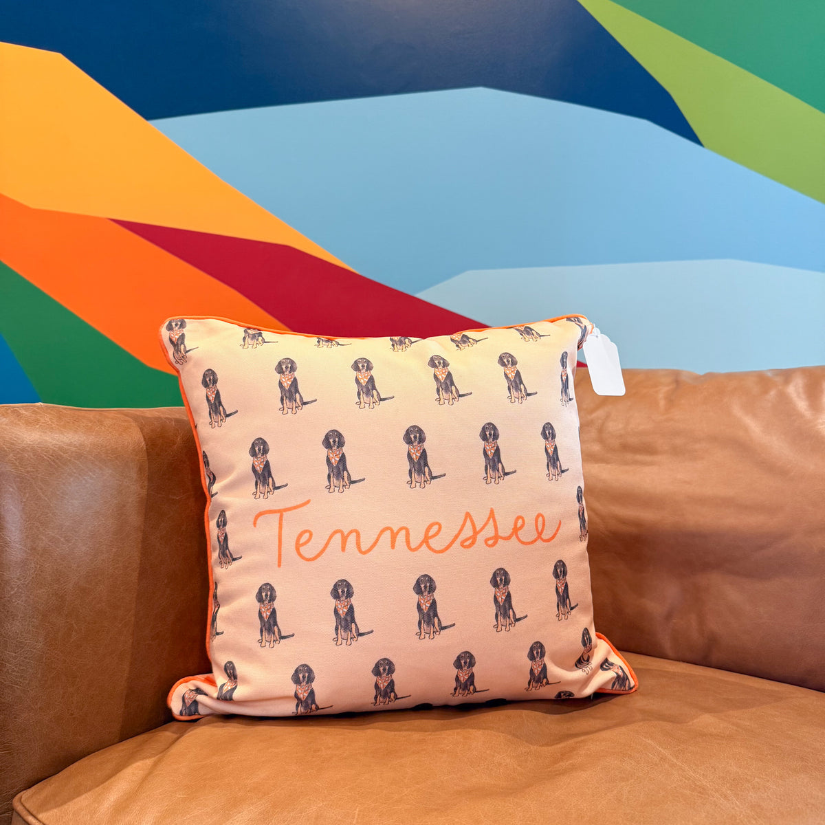 Tennessee Pillows
