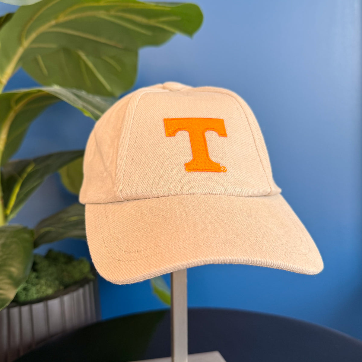 Youth Power T Hat