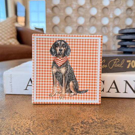 TN Ceramic Coaster